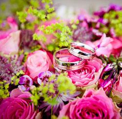 短信轰机轰炸app下载安卓手机